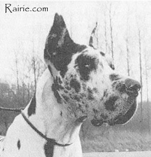 Odin Vd Materborner Schweir