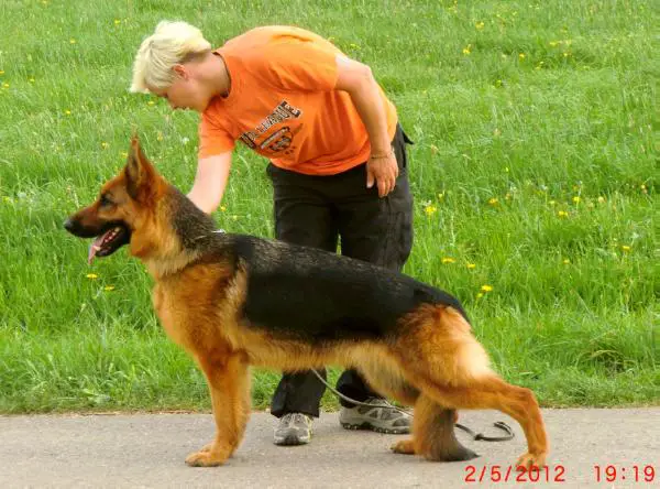 V Paula von der Blautalhalle