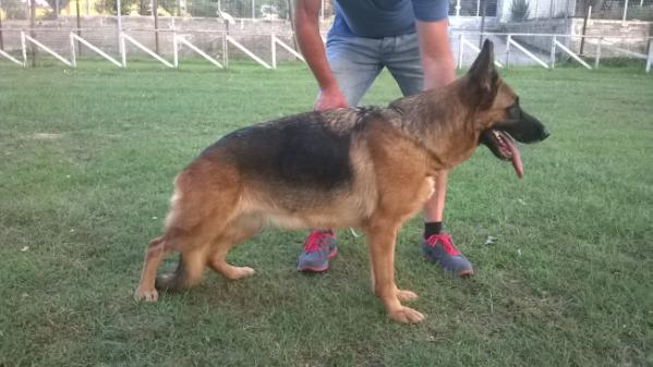 V Anet delle Coste di Agnano