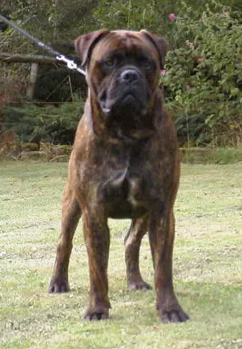 BUNSORO HOT CHOCOLATE