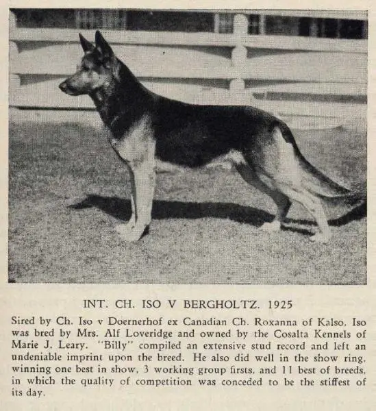 CH (US) Iso v Bergholtz