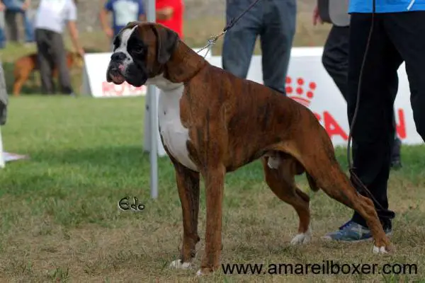 Albero De Mi Rantxito