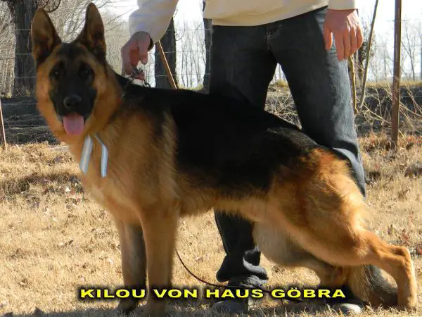 Kylöu Von Haus Göbra