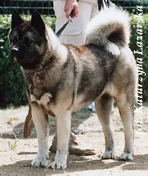 PL CH Reiji Sasquehanna