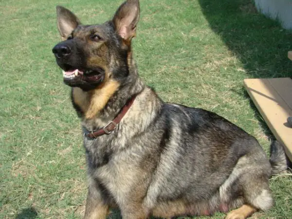 Dakota Von Der Canyon