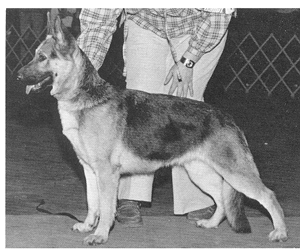 Brianda von Kaiser Fitz