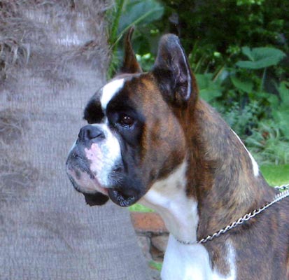 Tanyati Gotta Feeling