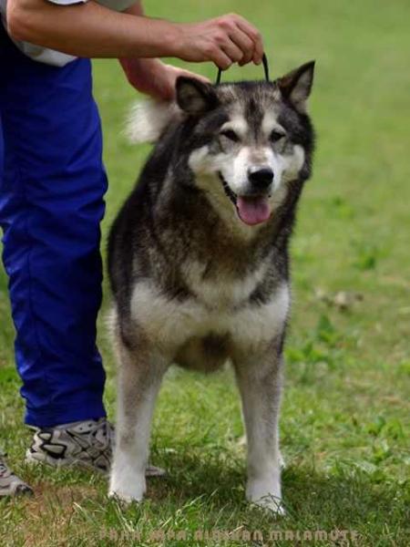Lodestar Kotzebue Des Rives Du Haut Verdon