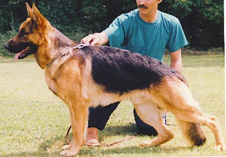 Varo vom Weschnitzdamm