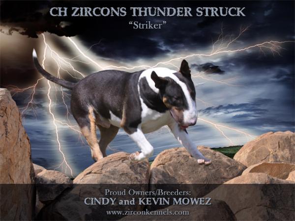 AM/CDN CH CGN Zircons Thunder Struck