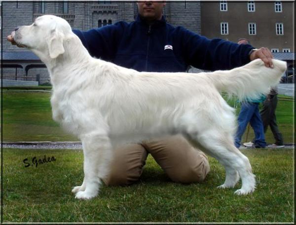 Free-Spirit De Ducado De Espinosa