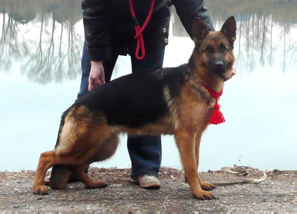 Redkaja Schtucka Super Agent