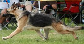 Brownhill-Kysarah's Krystal