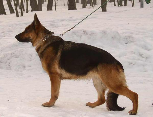 LUKA z Ziemi Łukowskiej