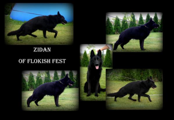 SG Zidan of Flokish Fest