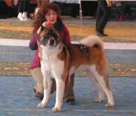 RUS/RKF/UK/INT'L CH Grand Gerakl