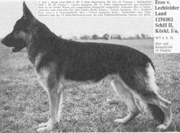 V Eros vom Lechfelder Land