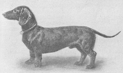 Longine (1886) DTK 173