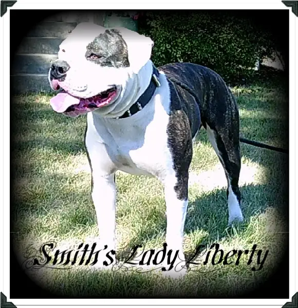 Smith's Lady Liberty