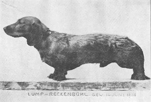 Lump Reckenbühl
