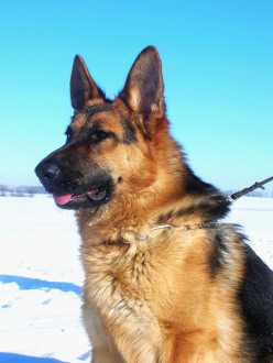 Ulma Kamienna Twierdza