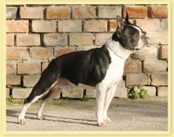 Bentley Of Arbor Manor