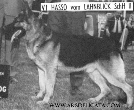V Hasso vom Lahnblick