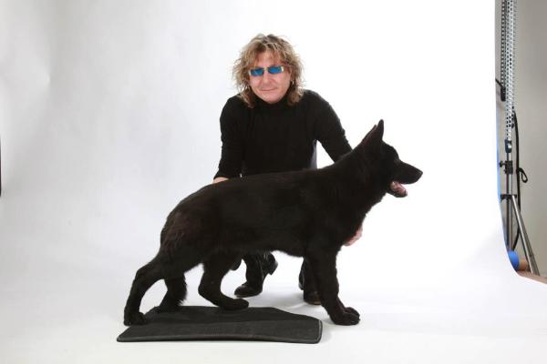 Alice dei Colli Assisani