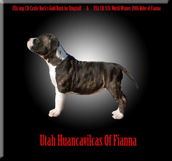 Utah Huancavilcas Of Fianna