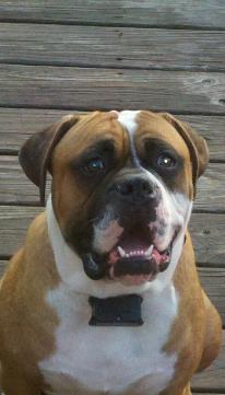 LNG's DPM Staches Rocky Duke