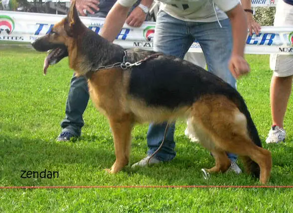 VA5 ITA (2010 & 11) Perla del Colle Guasco