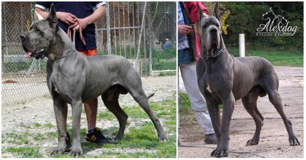 CH Uxalanda De La Benjamine