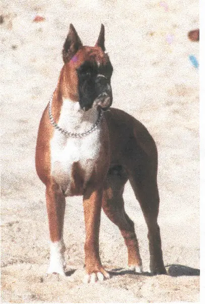 Psyche des vents de mer