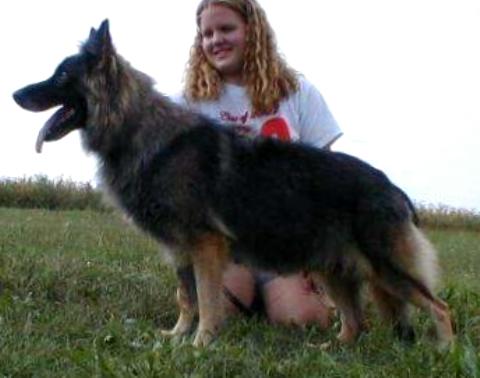 Raebark's Saucy Britches