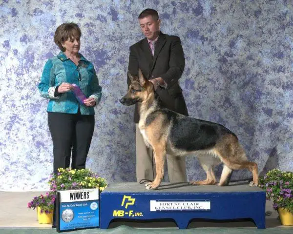 AOM 2 X RBIS UCH, Windsong's Lady Liberty