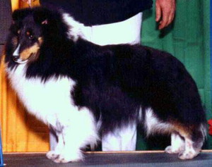 Apple Acres Expedition