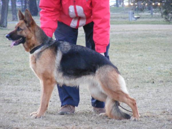 Frisbi von Paulgarten