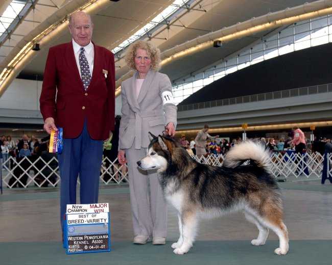 CH MACH U-CD Arcticdawn's Guardian Spirit