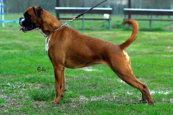 Africa Dei Quattro Calzini