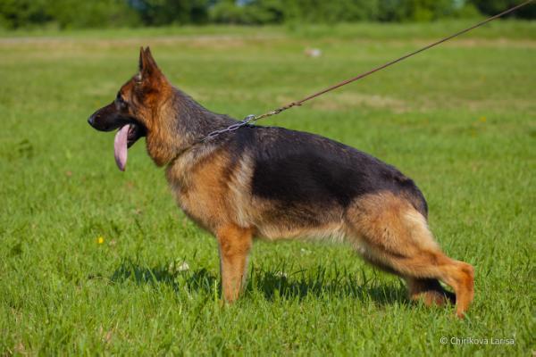 Nirvana iz Smolenskoy Kreposti