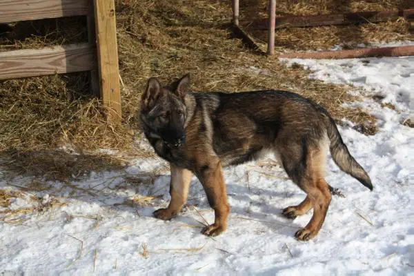 Hopper Budaka Vomperrysberg