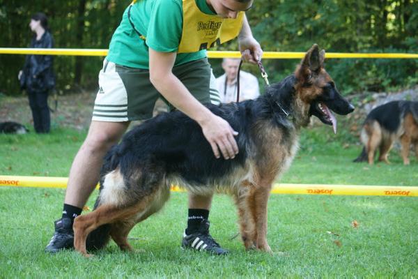 Siera vom Wolfsbruch
