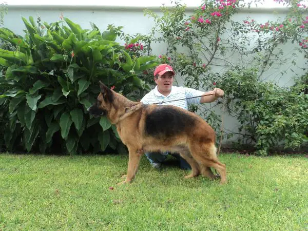 Galdi Casa Castoba