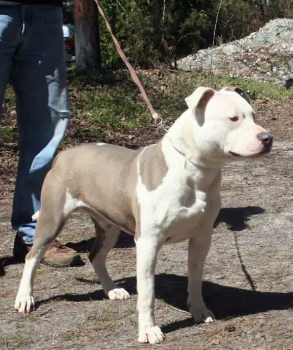 Chronos A Rogue At Heart