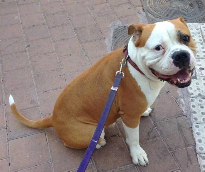 Good'R otk fuzes-Kid