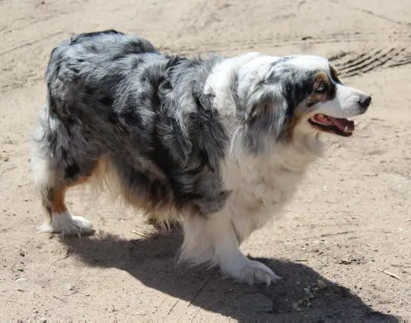 Casa Deys Wicca by Moonlight