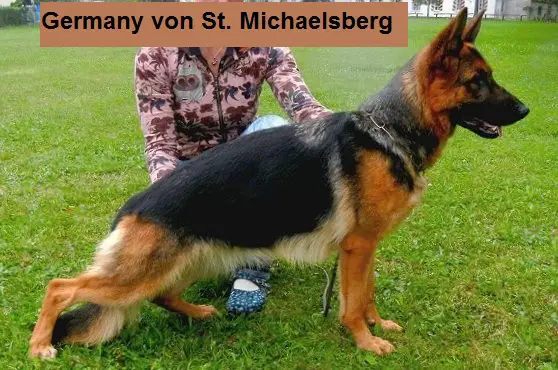 Germany von St.-Michaels-Berg