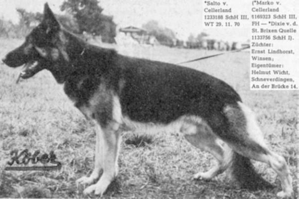 Salto vom Cellerland