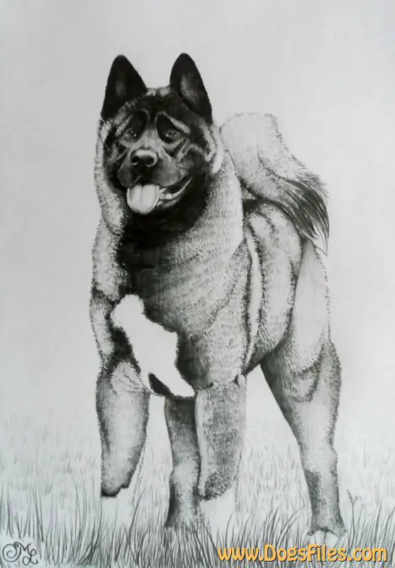 Alquin's The Ring Master