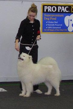 JCH: LT-LV-EE  BALTIC JUNIOR CHAMPION LUCY HONEY The Glow of the Snowy Star
